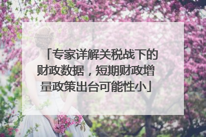 专家详解关税战下的财政数据，短期财政增量政策出台可能性小